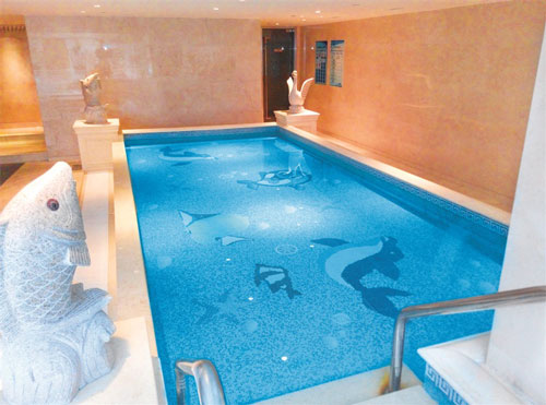 泳池维修,泳池运营,泳池安全,泳池设备