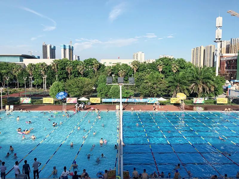 游泳池藻类,游泳池藻类清理方案,游泳池藻类清除