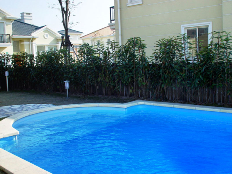 游泳池微生物污染,游泳池水质处理,游泳池水消毒